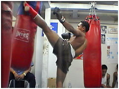 �Z���`���C�E�\�[�J���V��