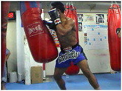 �Z���`���C�E�\�[�J���V��