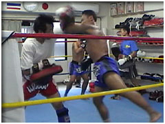 �Z���`���C�E�\�[�J���V��