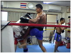 �Z���`���C�E�\�[�J���V��