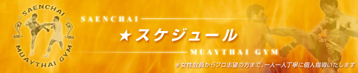 �X�P�W���[��